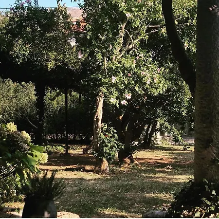 With Private Garden 1200 M2 Casa de Férias