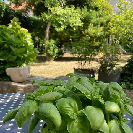 Dom wakacyjny With Private Garden 1200 M2 Mokošica