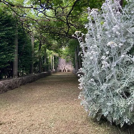 Dom wakacyjny With Private Garden 1200 M2 Mokošica