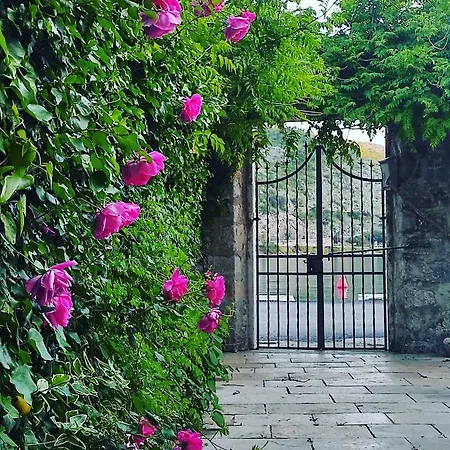 Dom wakacyjny With Private Garden 1200 M2 Mokošica