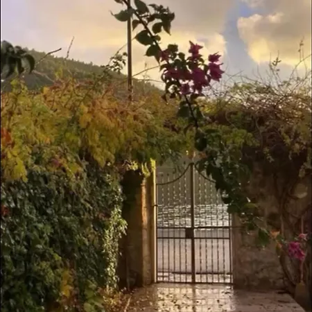 With Private Garden 1200 M2 *